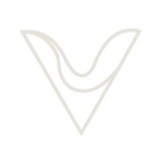V Media